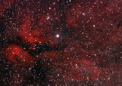 IC 1318