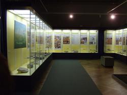 Výstava Prales