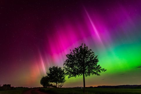 Pol�rn� z��e